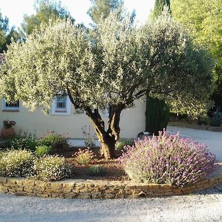 Maison privée au calme dans Mas provencal Villa Sanary-sur-Mer Exterior foto